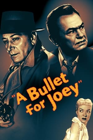 En dvd sur amazon A Bullet for Joey