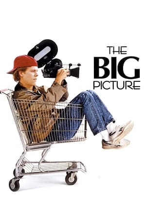 En dvd sur amazon The Big Picture