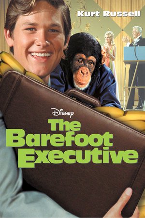 En dvd sur amazon The Barefoot Executive