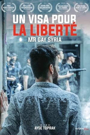 En dvd sur amazon Mr. Gay Syria