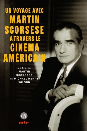 En dvd sur amazon A Personal Journey with Martin Scorsese Through American Movies
