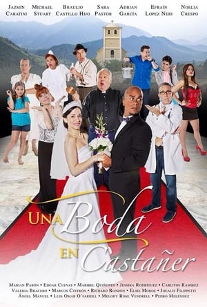 En dvd sur amazon Una boda en Castañer