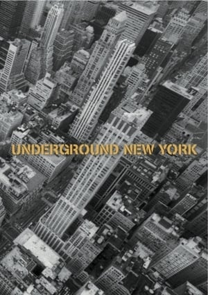 En dvd sur amazon Underground New York