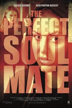 En dvd sur amazon The Perfect Soulmate