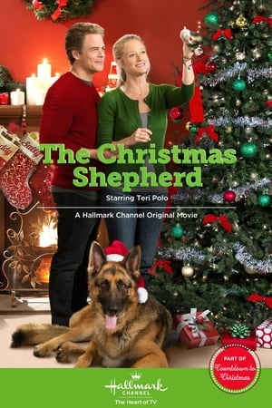 En dvd sur amazon The Christmas Shepherd