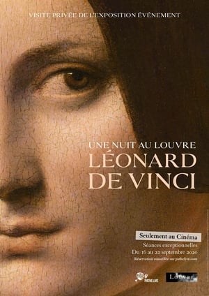 En dvd sur amazon Une nuit au Louvre: Léonard de Vinci
