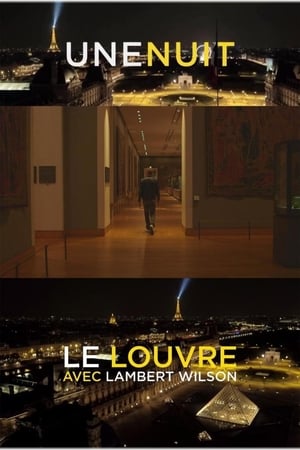 En dvd sur amazon Une nuit, le Louvre avec Lambert Wilson