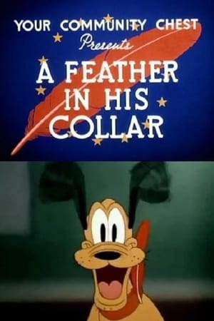 En dvd sur amazon A Feather in His Collar
