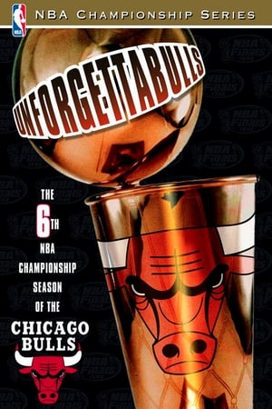 En dvd sur amazon Unforgettabulls: The 6th NBA Championship Season of the Chicago Bulls