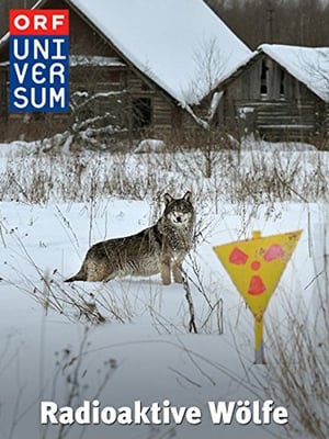 En dvd sur amazon Universum: Radioaktive Wölfe