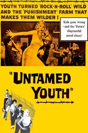 En dvd sur amazon Untamed Youth