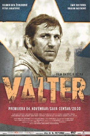 En dvd sur amazon Valter