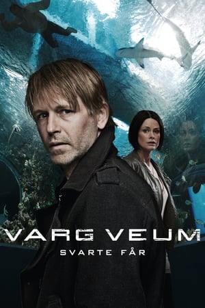 En dvd sur amazon Varg Veum - Svarte får