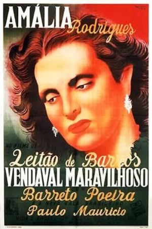 En dvd sur amazon Vendaval Maravilhoso