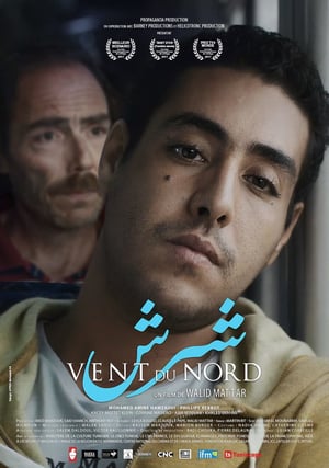 En dvd sur amazon Vent du nord