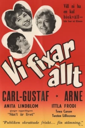 En dvd sur amazon Vi fixar allt