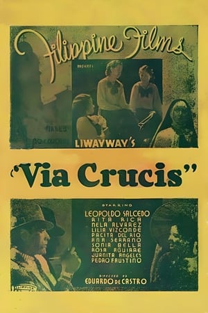 En dvd sur amazon Via Crucis