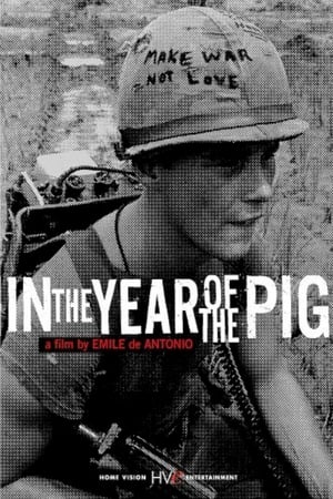 En dvd sur amazon In the Year of the Pig