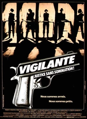 En dvd sur amazon Vigilante
