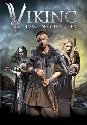 En dvd sur amazon Viking: The Berserkers