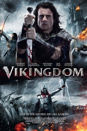 En dvd sur amazon Vikingdom