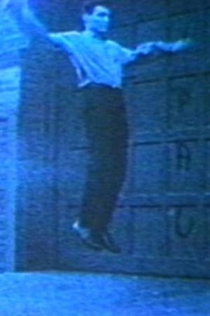En dvd sur amazon Vincent Gallo as Flying Christ