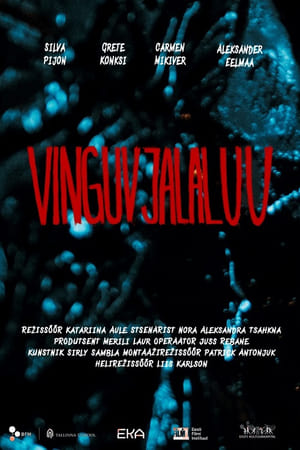 En dvd sur amazon Vinguv jalaluu