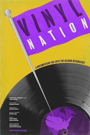 En dvd sur amazon Vinyl Nation
