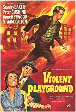 En dvd sur amazon Violent Playground