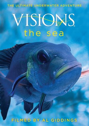 En dvd sur amazon Visions of the Sea