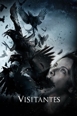 En dvd sur amazon Visitantes