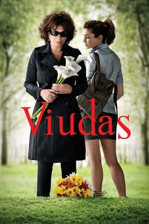 En dvd sur amazon Viudas