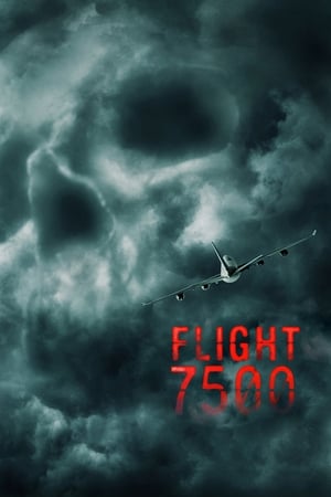 En dvd sur amazon Flight 7500