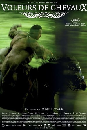 En dvd sur amazon Voleurs de chevaux