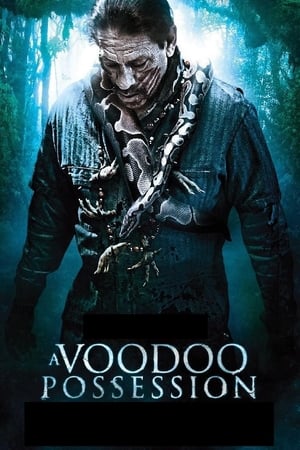 En dvd sur amazon Voodoo Possession