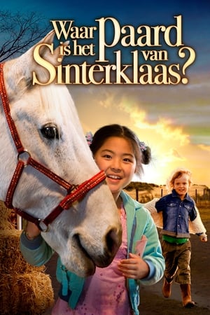 En dvd sur amazon Waar is het paard van Sinterklaas?