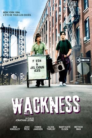 En dvd sur amazon The Wackness