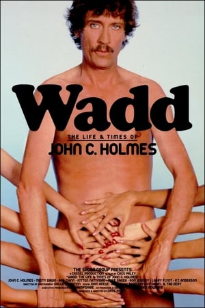 En dvd sur amazon Wadd: The Life & Times of John C. Holmes