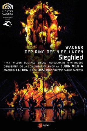 En dvd sur amazon Wagner: Siegfried