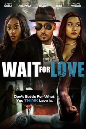 En dvd sur amazon Wait for Love