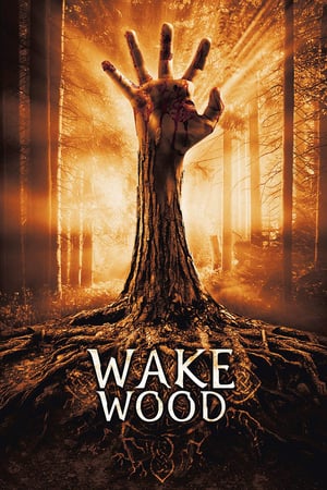 En dvd sur amazon Wake Wood