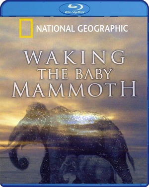 En dvd sur amazon Waking the Baby Mammoth