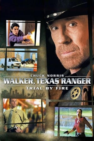 En dvd sur amazon Walker, Texas Ranger: Trial by Fire