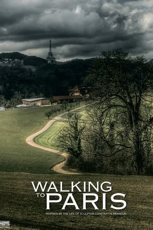 En dvd sur amazon Walking to Paris