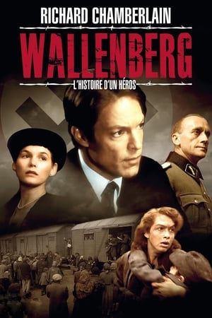 En dvd sur amazon Wallenberg: A Hero's Story