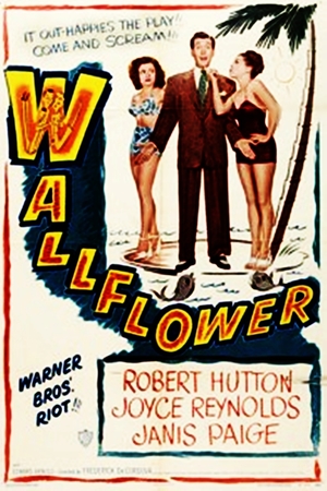 En dvd sur amazon Wallflower
