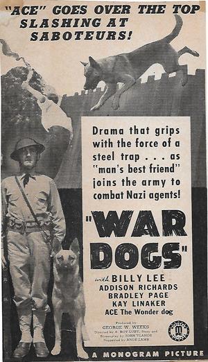 En dvd sur amazon War Dogs