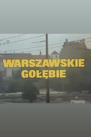 En dvd sur amazon Warszawskie gołębie