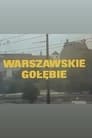 Warszawskie gołębie