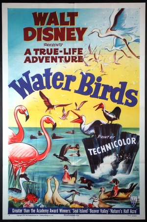 En dvd sur amazon Water Birds